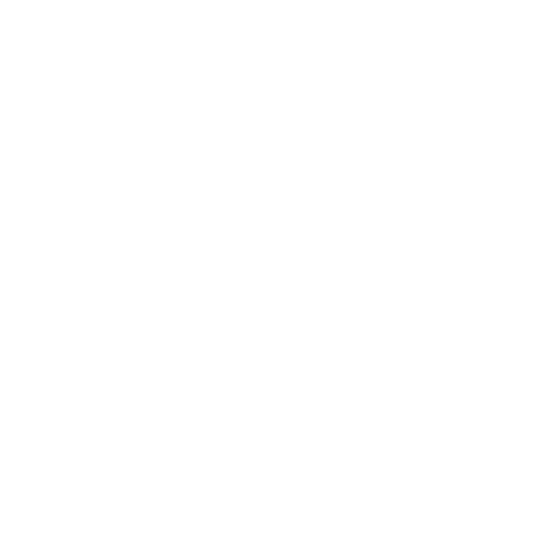 Moshé Bergel